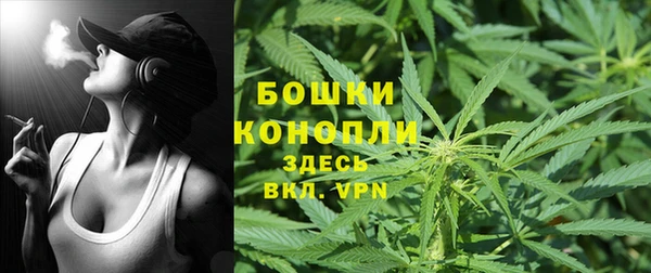 ECSTASY Магас