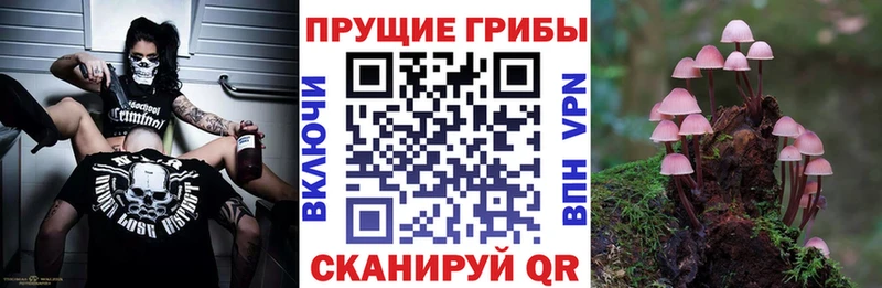 Галлюциногенные грибы ЛСД  даркнет сайт  Вичуга 