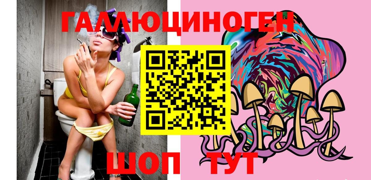Псилоцибиновые грибы Psilocybe  Вход с VPN  купить  сайты  Вичуга 