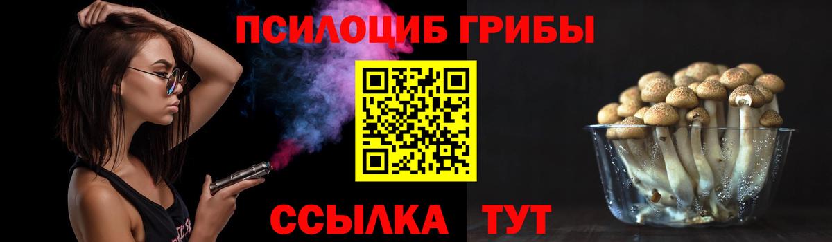 Псилоцибиновые грибы GOLDEN TEACHER Вичуга