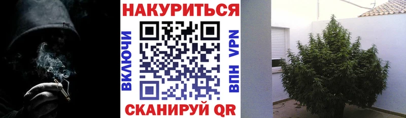 продажа наркотиков  Вичуга  это состав  Каннабис Ganja 